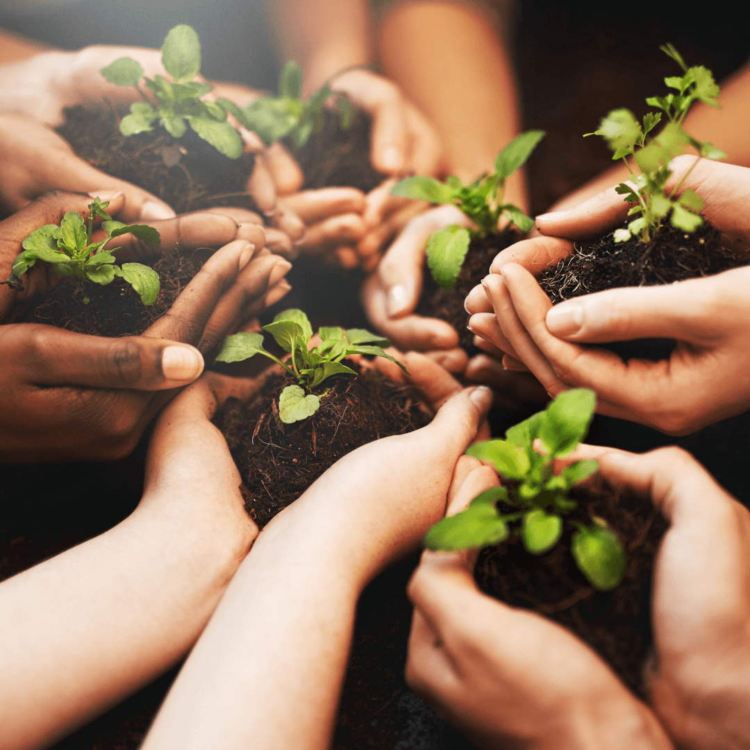 5 Fun Activities for Kids on Earth Day