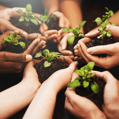 5 Fun Activities for Kids on Earth Day